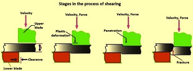 Stages in the process of shearing